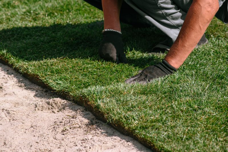 Experienced Turf Installers